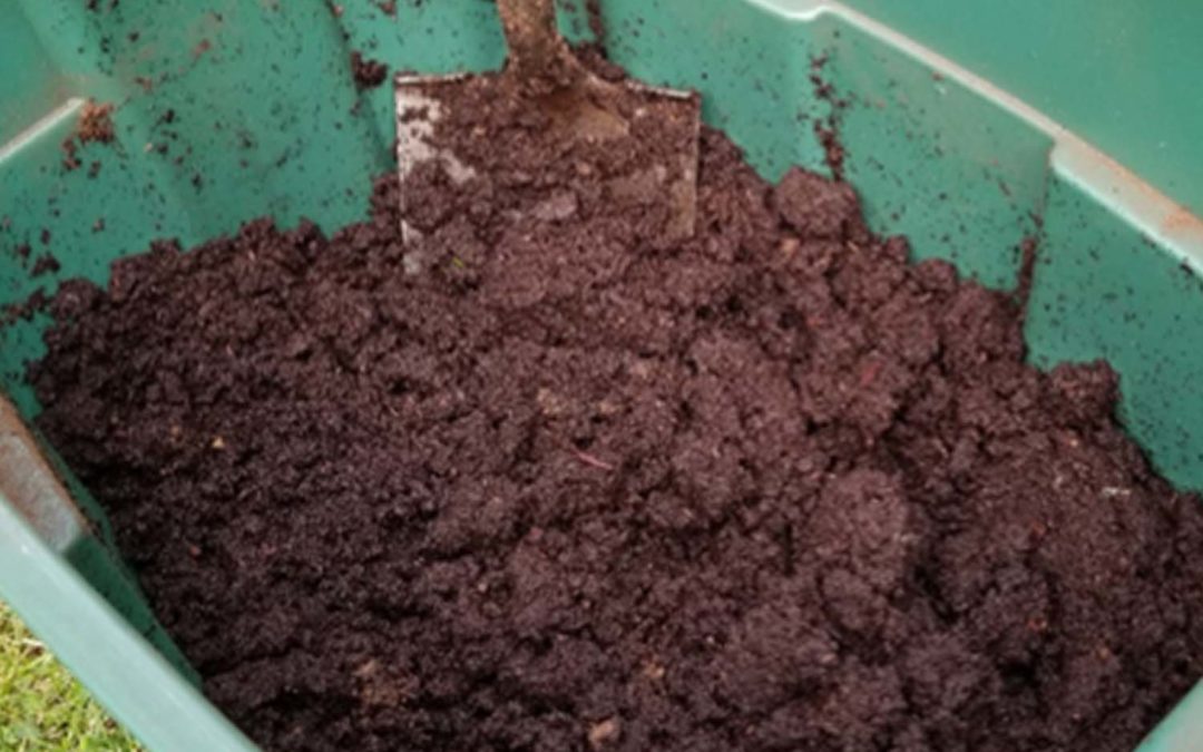 How to Rehydrate Peat Moss for Your CFT