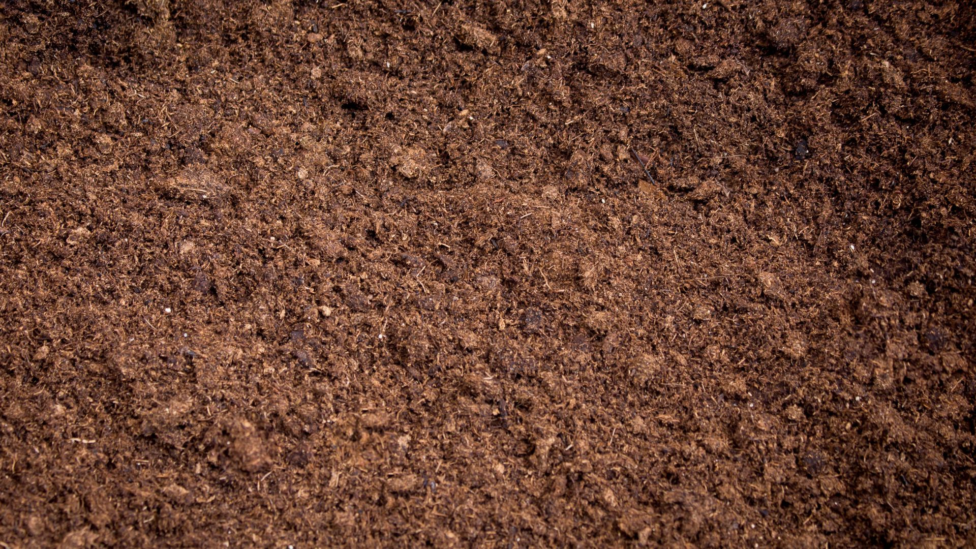 An image of peat moss