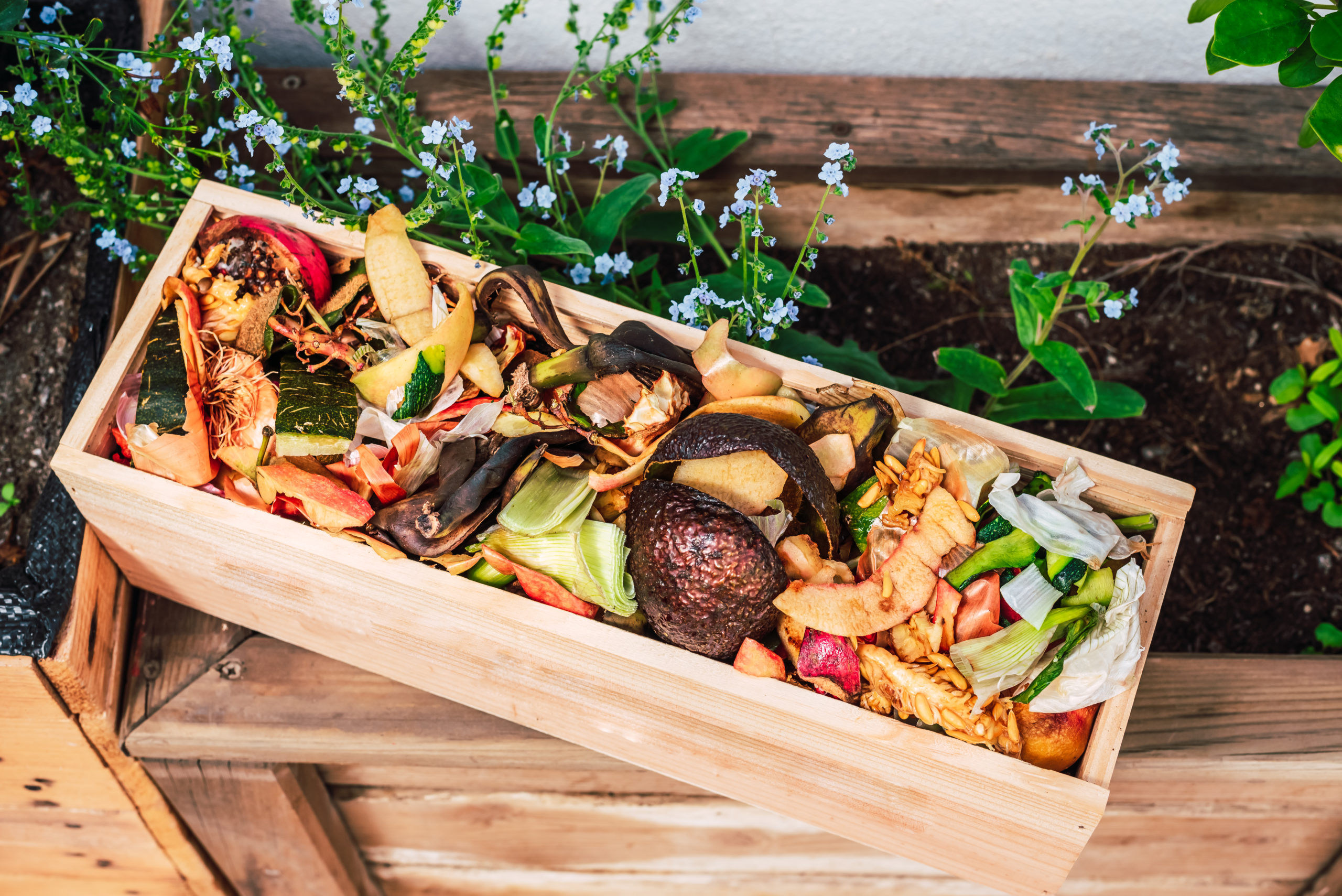 A wooden crate filled with colorful organic waste, including fruit peels and vegetable scraps, placed in a garden setting for composting, highlighting sustainable waste management practices.