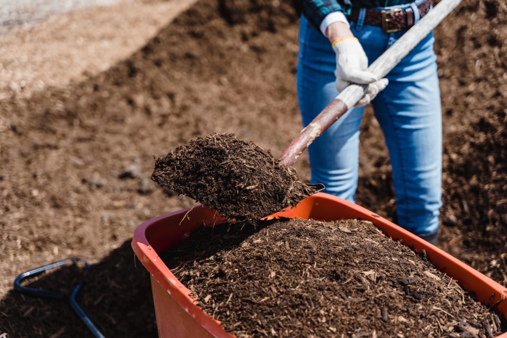 Person shoveling high-quality compost into an orange wheelbarrow with large piles of compost visible in the background, illustrating active work in a garden or composting operation.